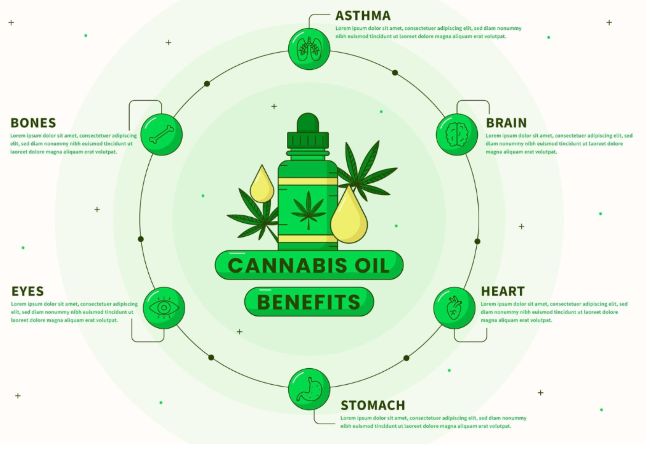 Potential Applications of Cannabis Plant Extracts and Phytochemicals as Natural Antimicrobials