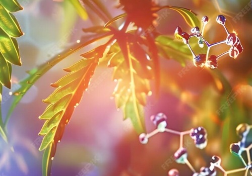 The Silent Guardians: Unveiling the Potent Antioxidant Power of Phytocannabinoids