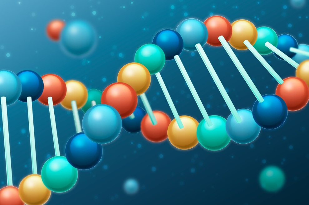 A Comprehensive Guide to Local Anesthetics: Procaine vs. Lidocaine